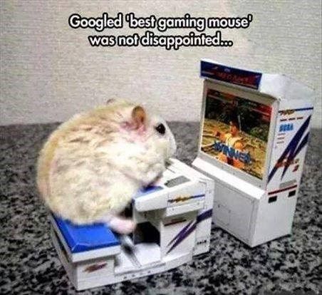 World's best gaming mouse