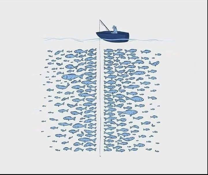 When someone tells you there is plenty of fish in the sea but this is your experience