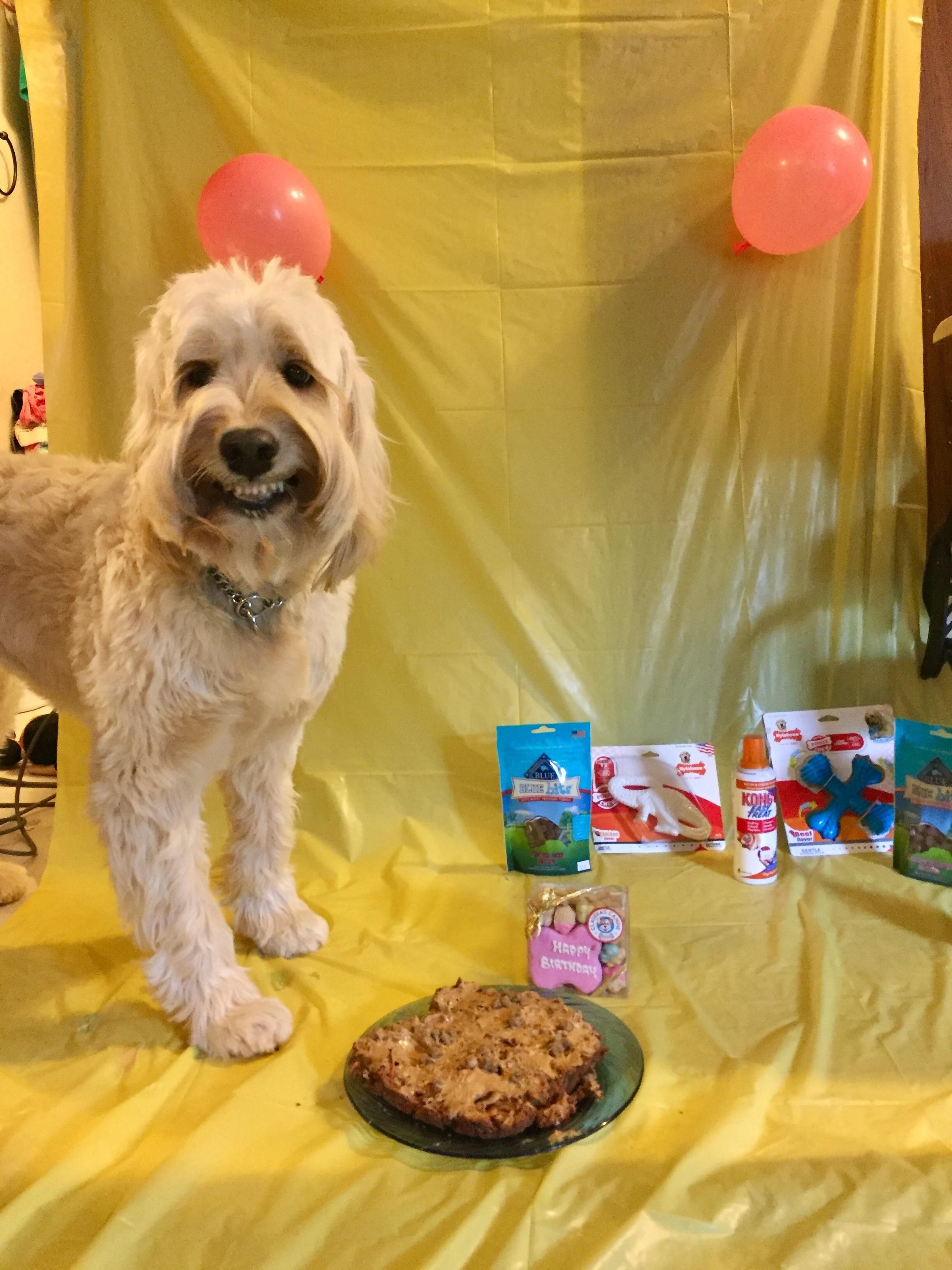 Today is my daughter's service dog's birthday.