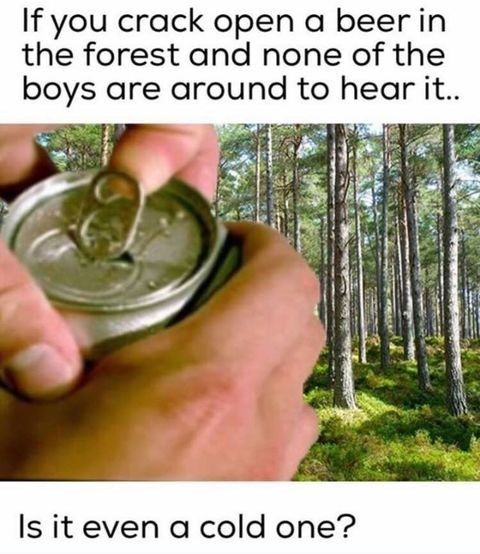 Shamelessly Stolen #4