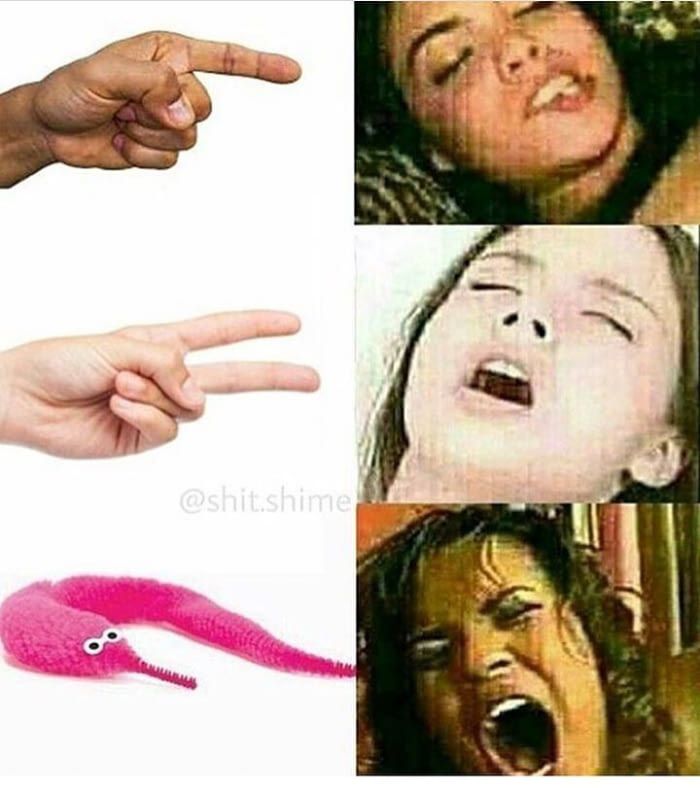 Shitpost Daily
