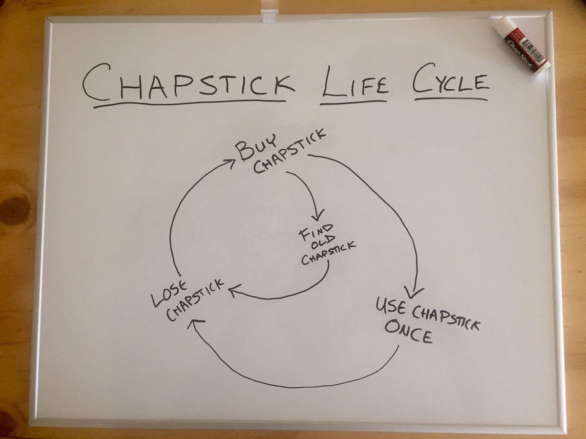 Chapstick life cycle