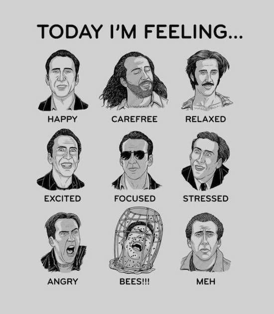 Today I'm feeling