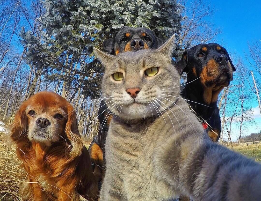 Squad selfie