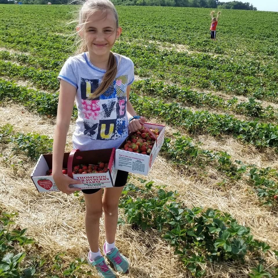 Strawberry picking. You will notice that one of my kids follows the rules, the other, is just like his father.