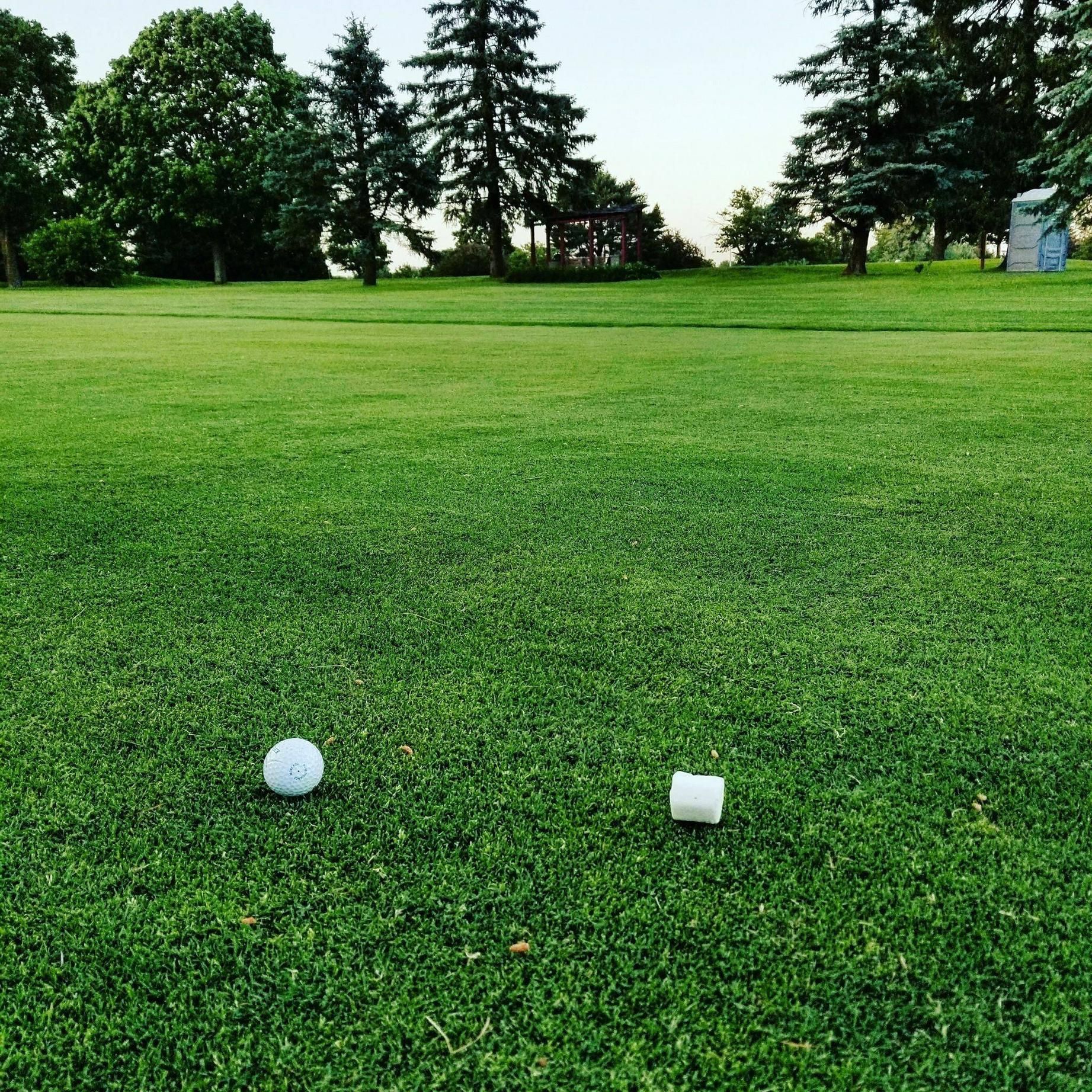 People scattered marshmallows on the golf course my buddy was golfing at to confuse golfers trying to find their ball. Clever.