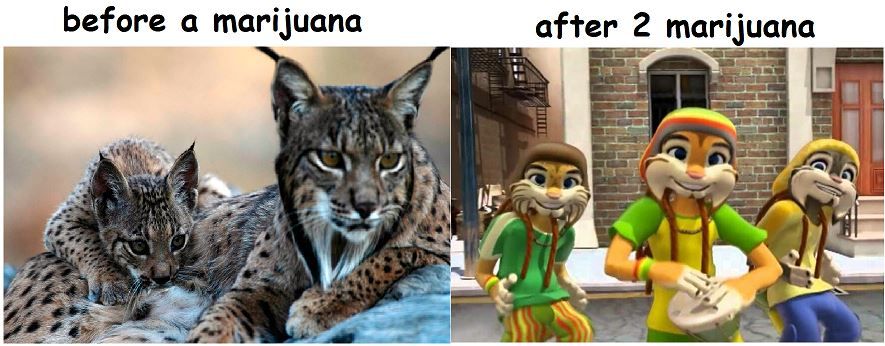 dont take drugs kids