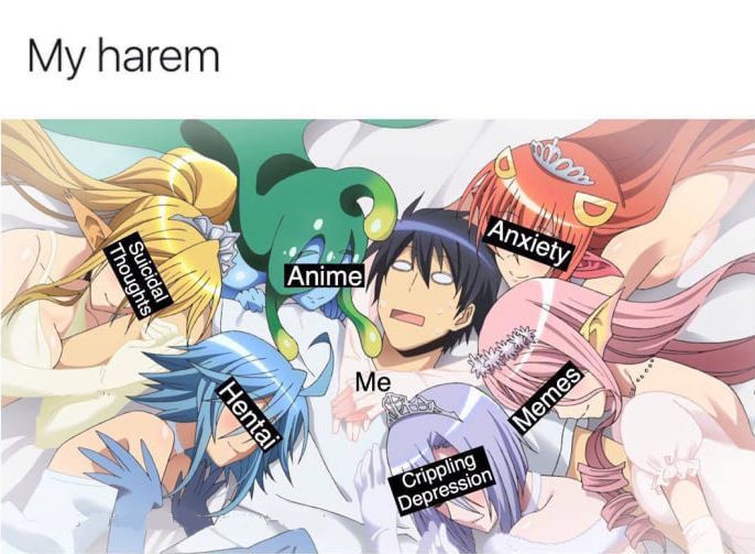 Hugelol Harem