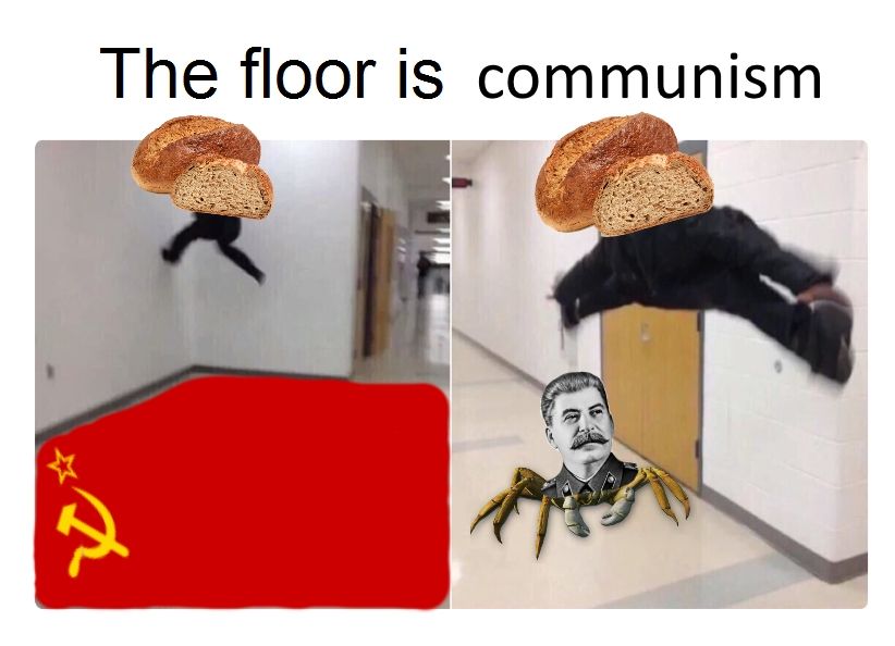 what have i done