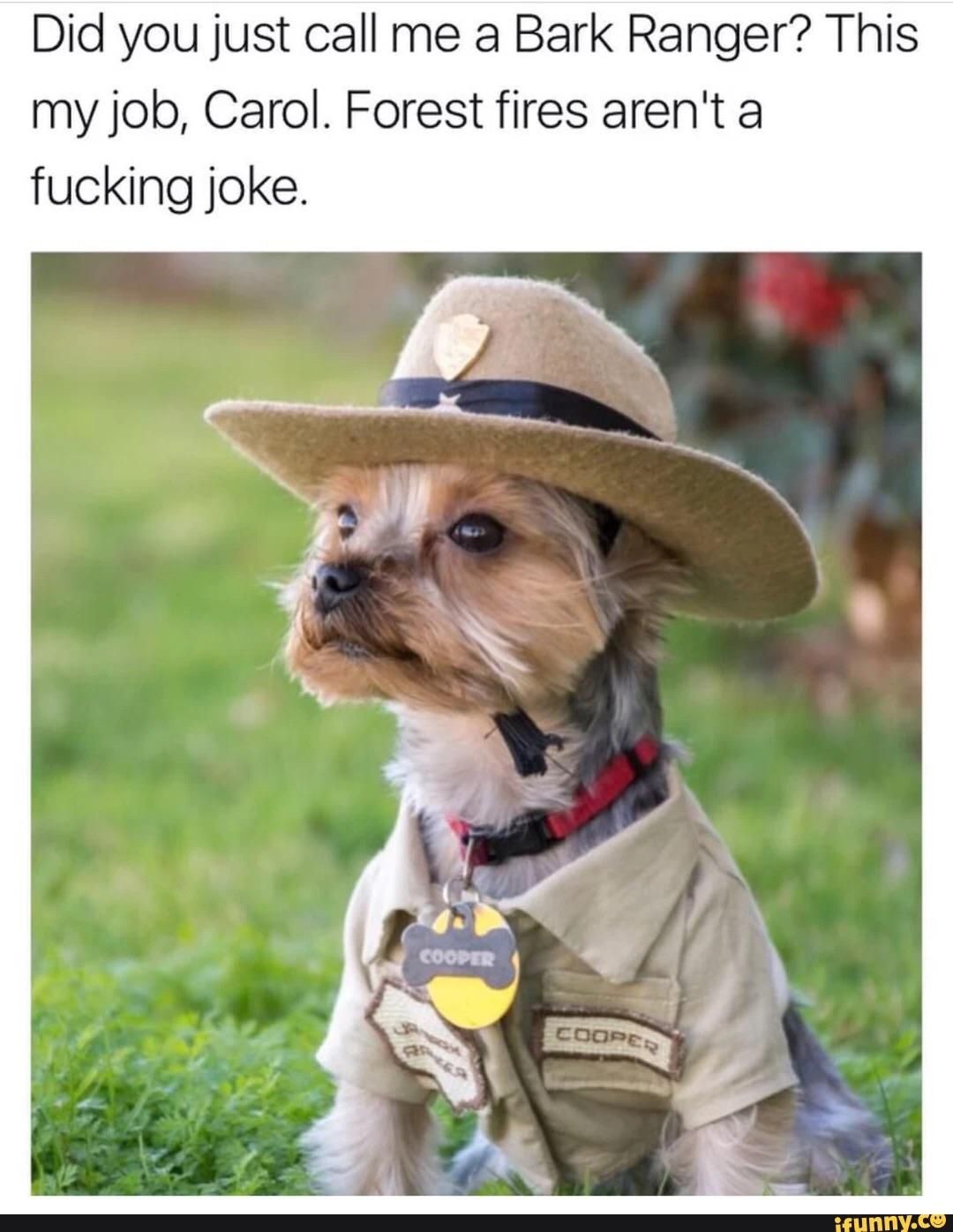 Did you just call me a Bark Ranger?