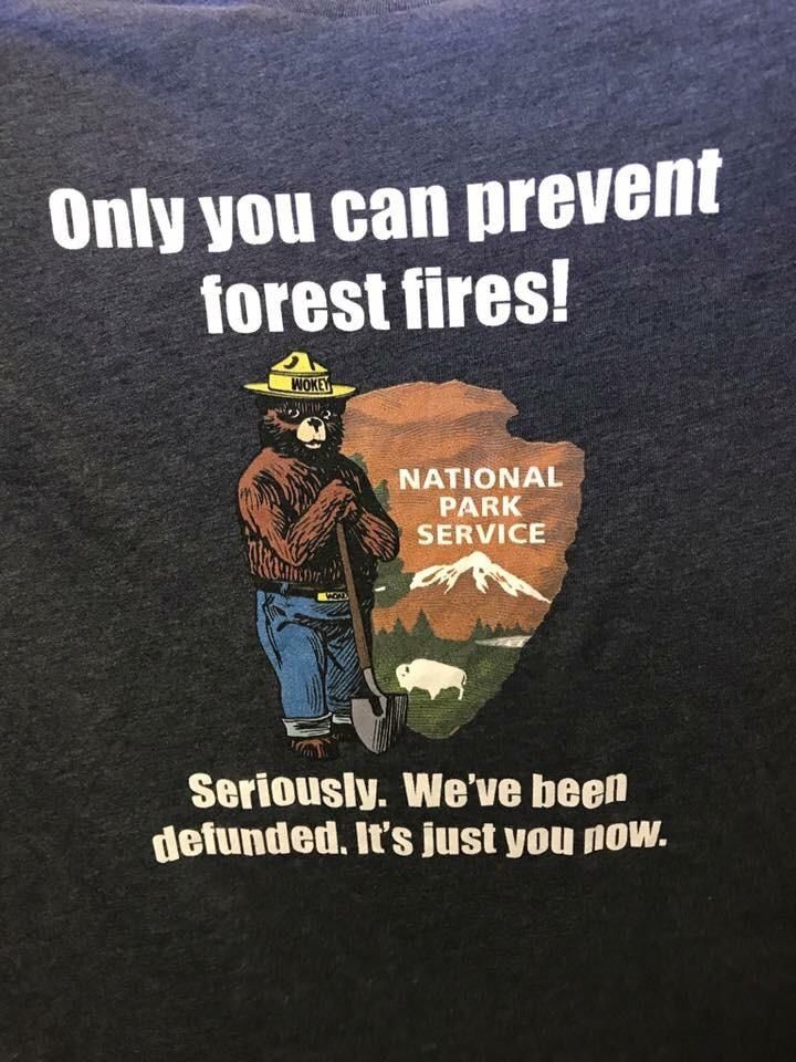 Only you can prevent forest fires