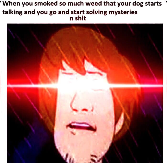 Shitposts Daily 26