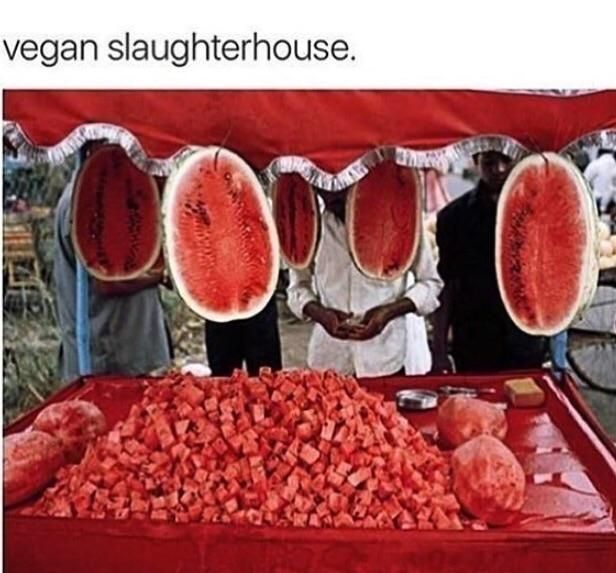 vegan slaughterhouse