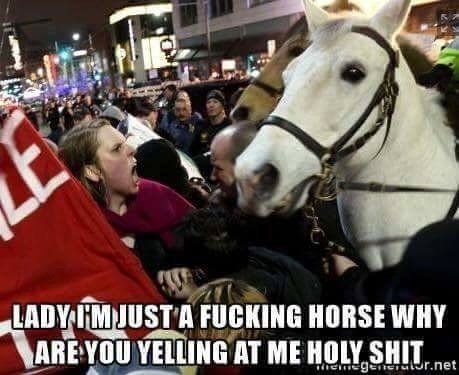 Poor horse