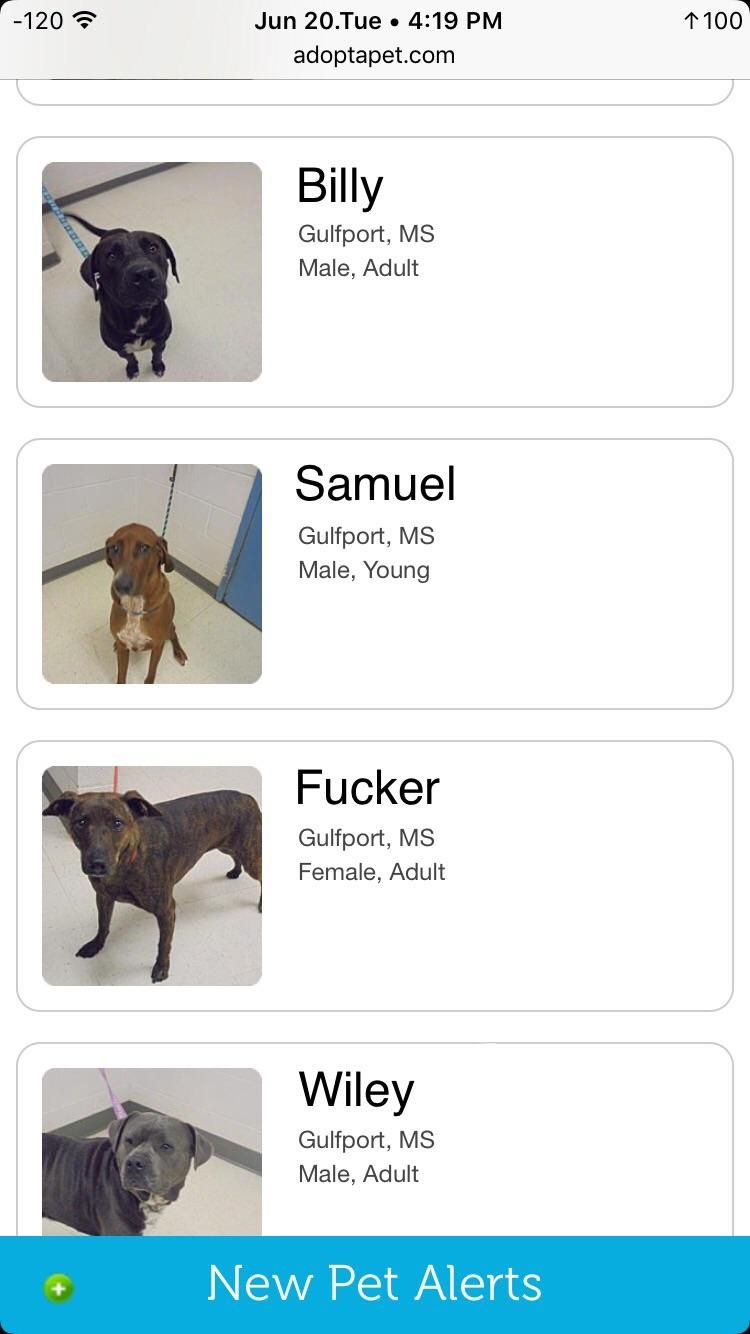 Was browsing to adopt a dog, and found this