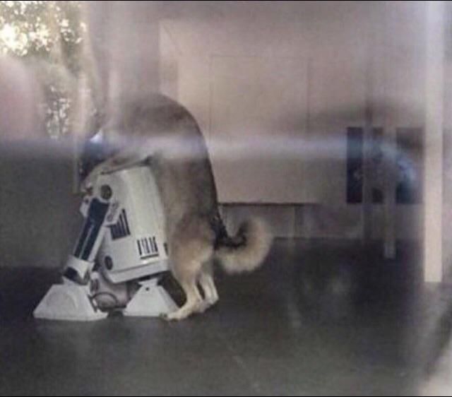 Sometimes, R2 gets the D2