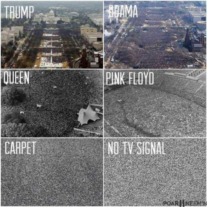 Carpet is my favorite band