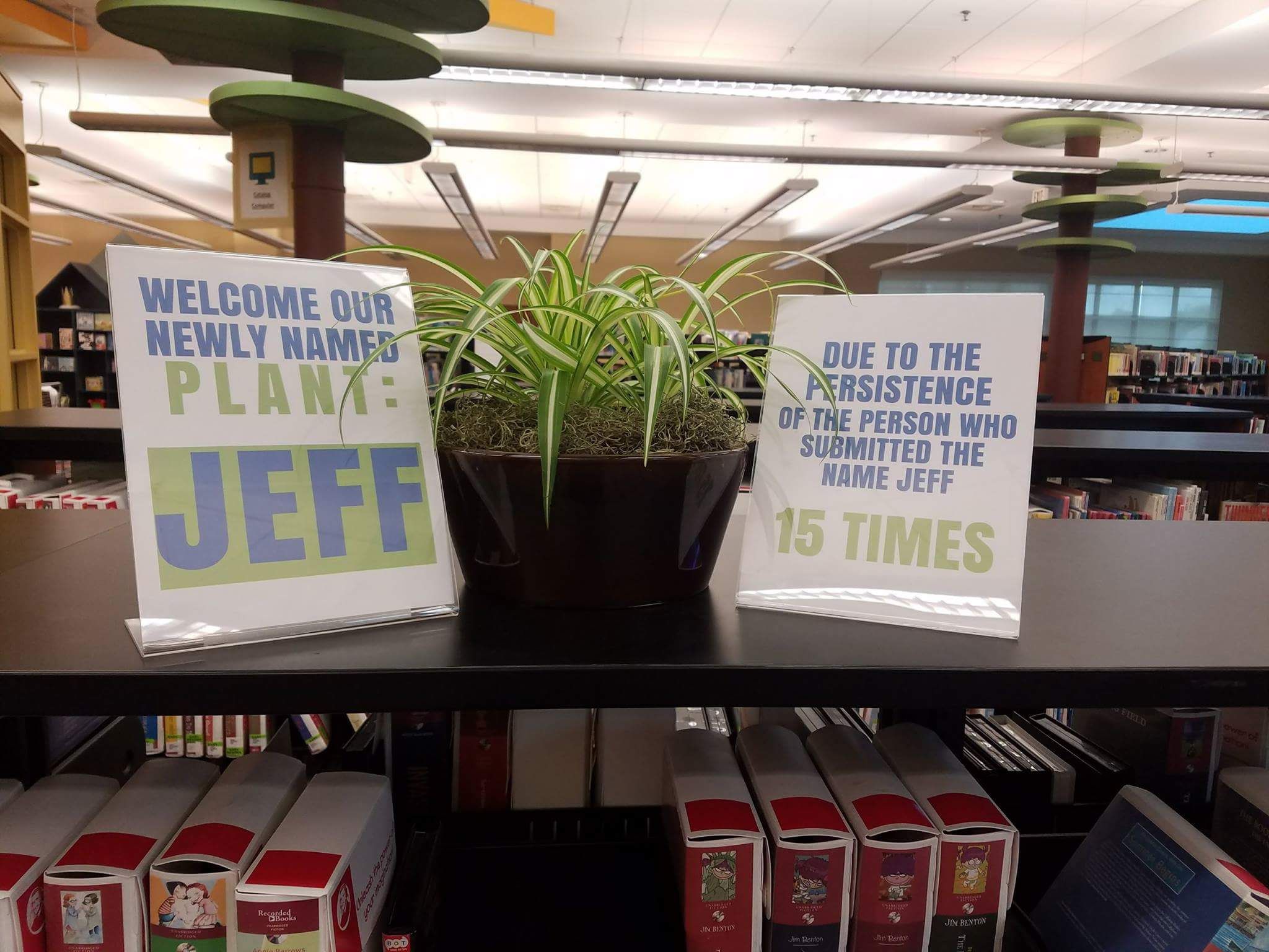 Hi Jeff!