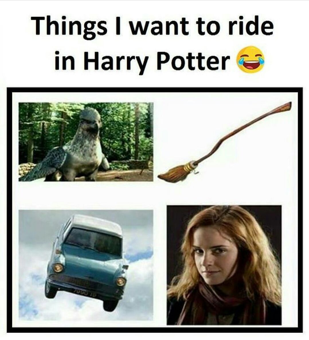 Things I want to ride in Harry Potter...