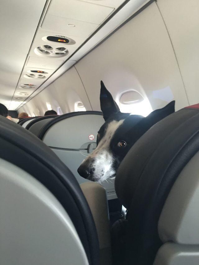 "Can you please stop kicking my seat..."