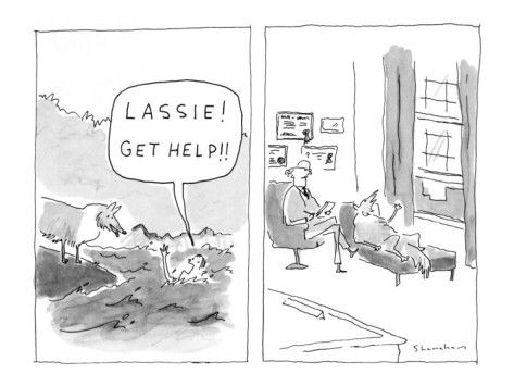 Lassie! Get help!