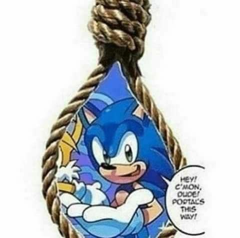 Sonic, help us! ;-;