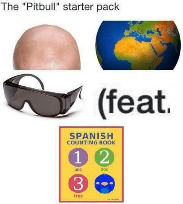 Mr worldwide