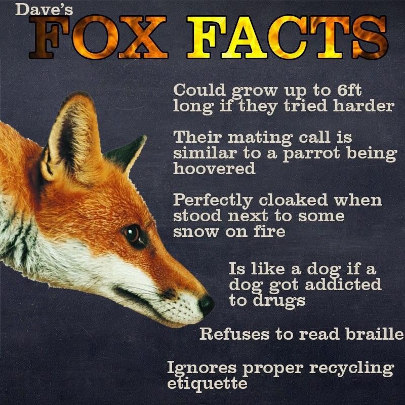 Foxes...