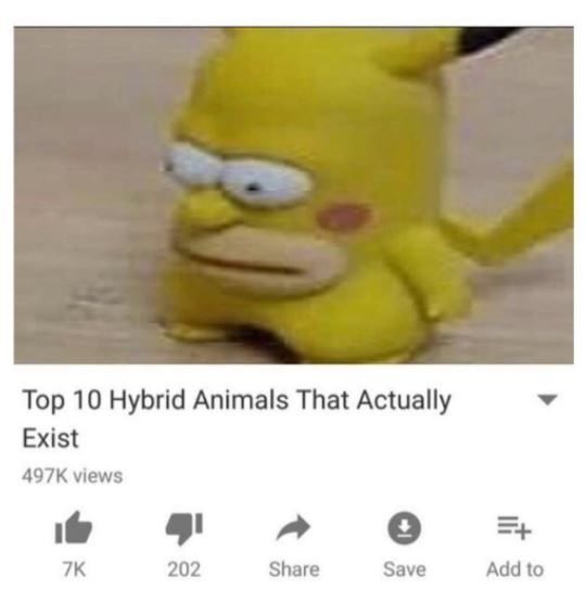 Science says they can't be real