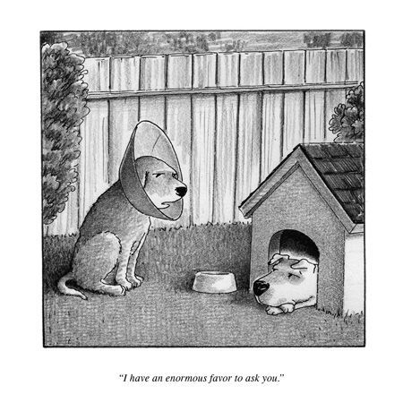 Rejected New Yorker cartoon.