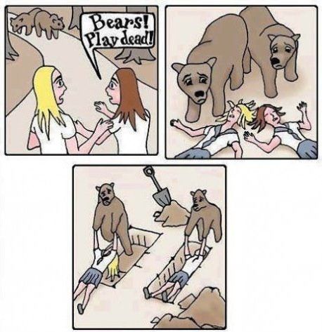 What to do in a bear attack