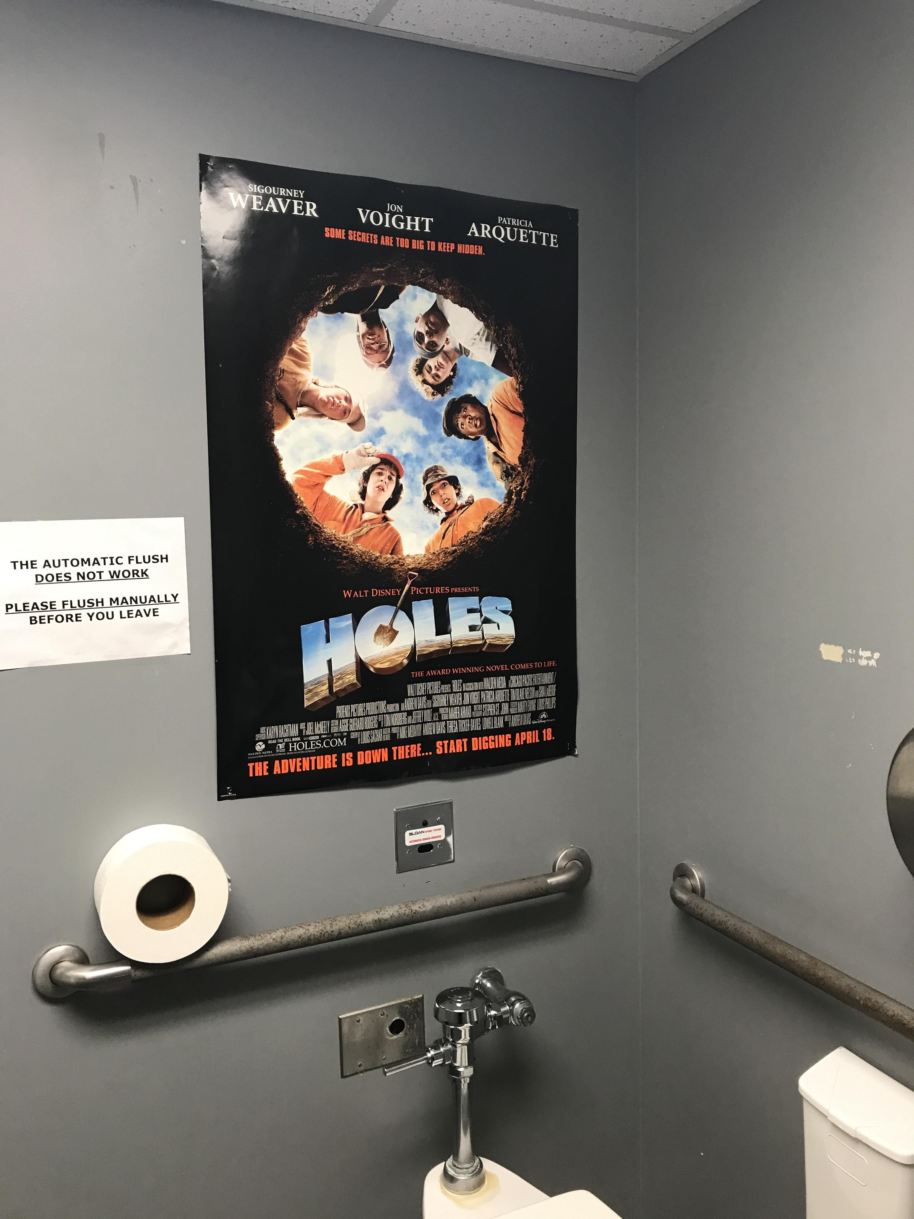 I work at a cinema, this is the poster they have in the bathroom