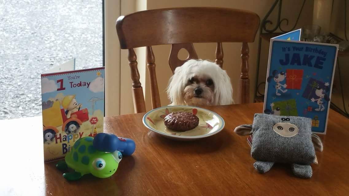 I moved out of my moms place just over a year ago and she got a dog, he turned 1 today and sent me this