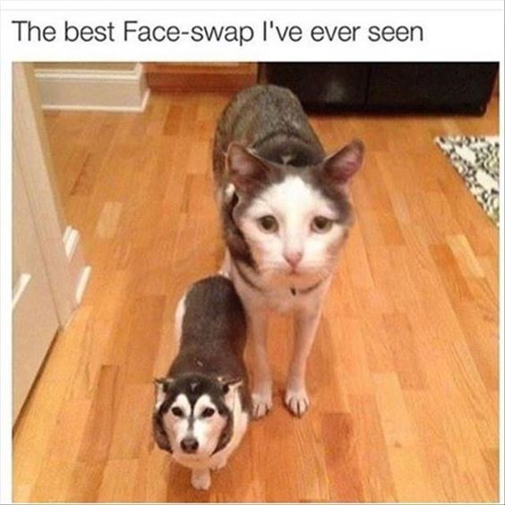 The best face-swap :D