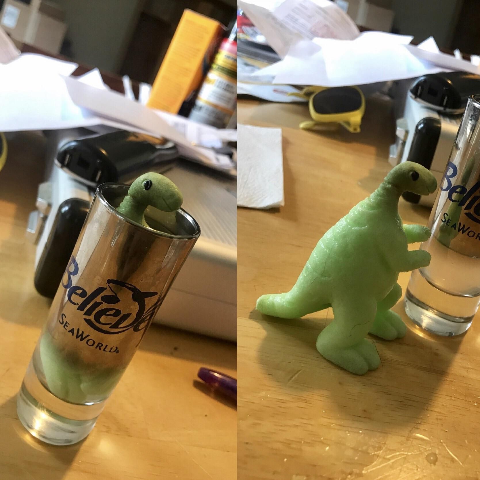 I put my nephew's "grow in water" dinosaur in a tall shot glass, I'm pleased with the results