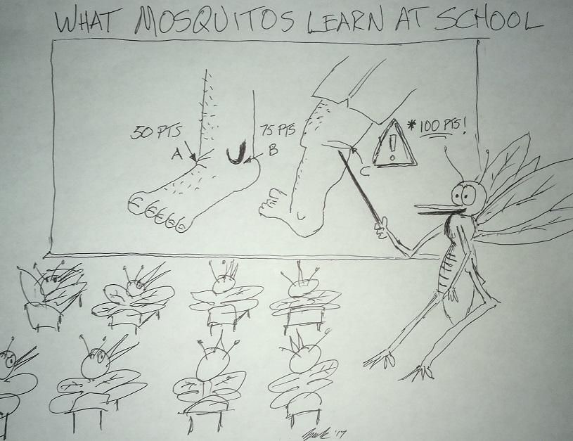 What Mosquitos Learn At School