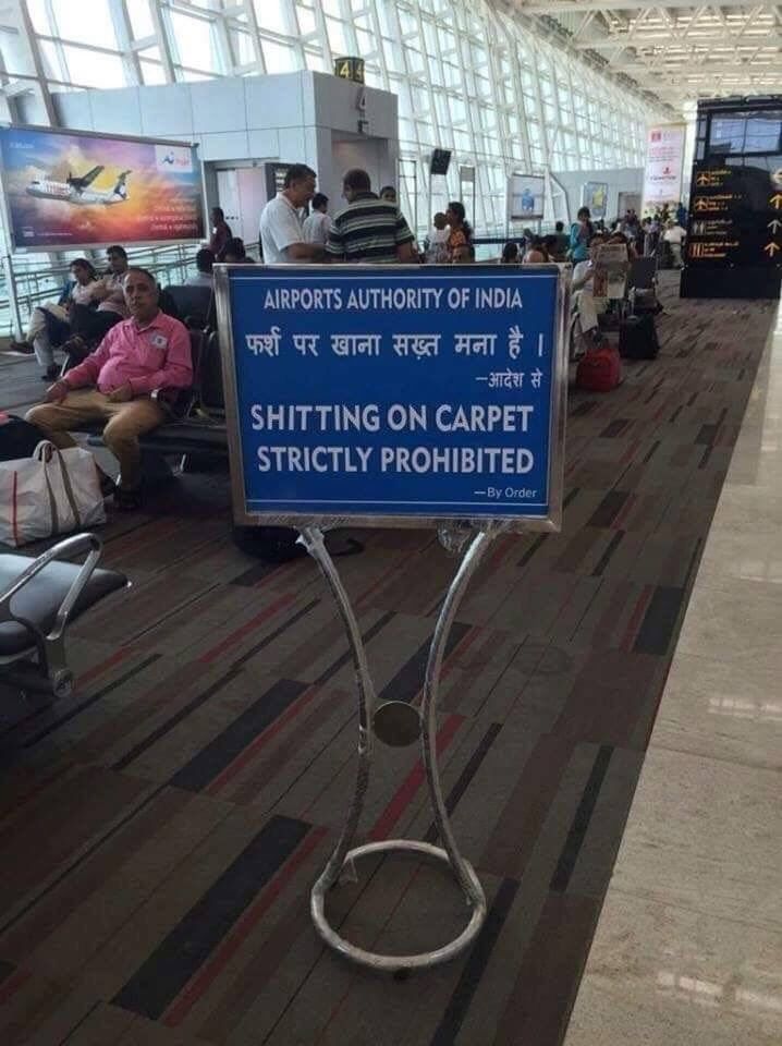 Designated shitting carpet