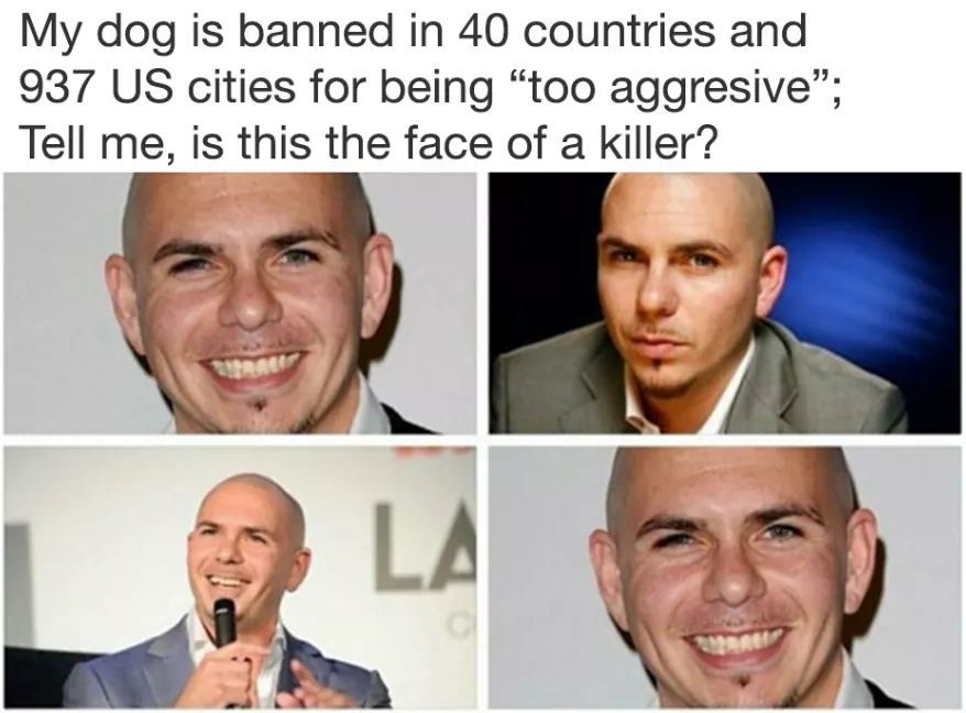 Not a good boy