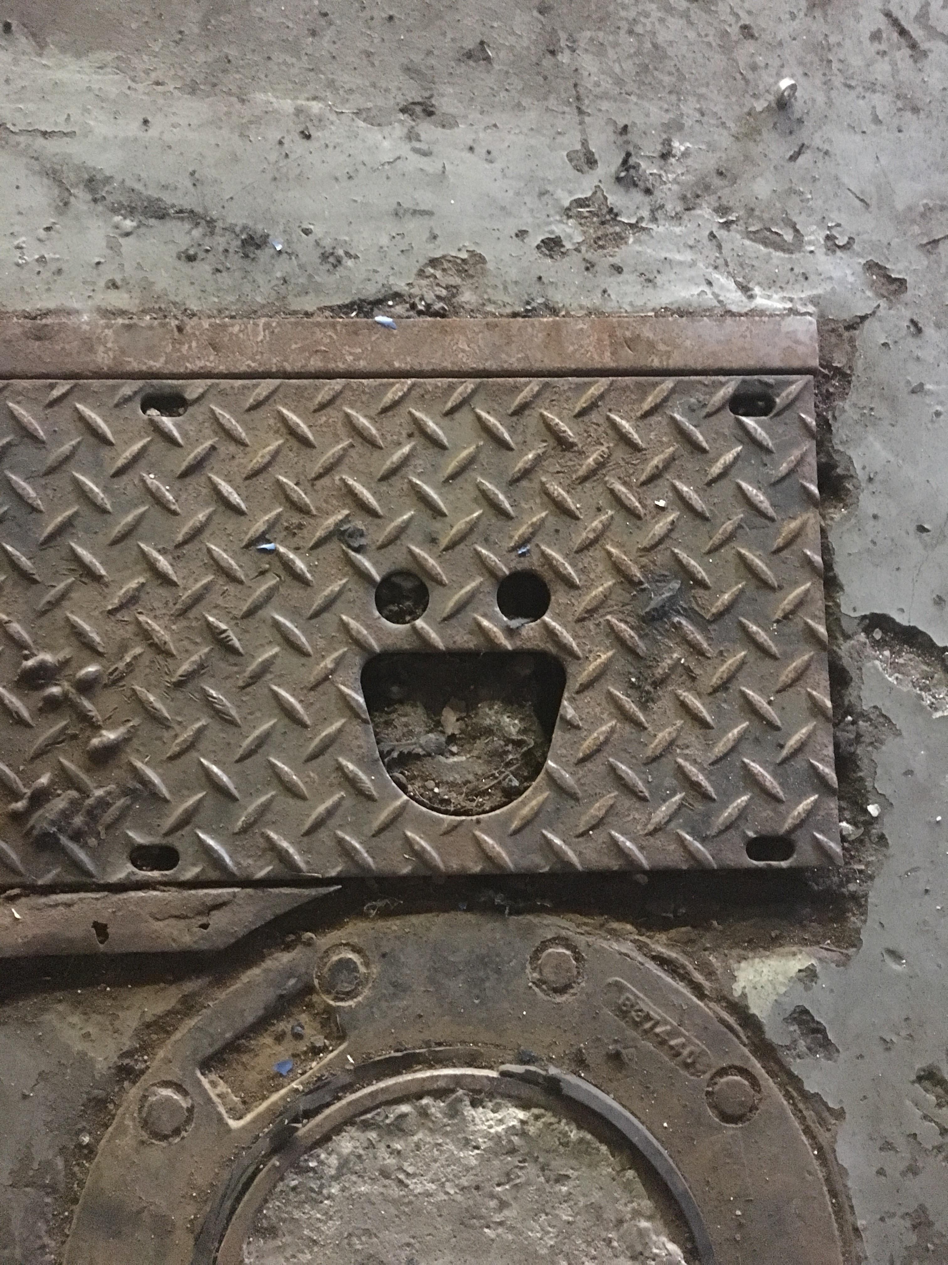 This steel grate is so happy it almost makes me wanna smile back at it