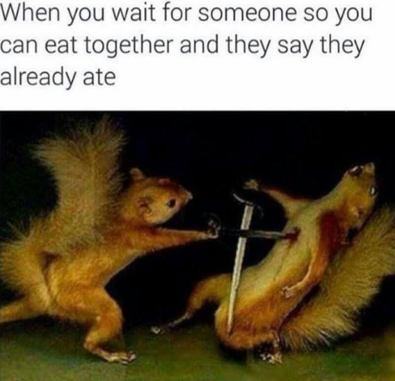Daily normie shitposting