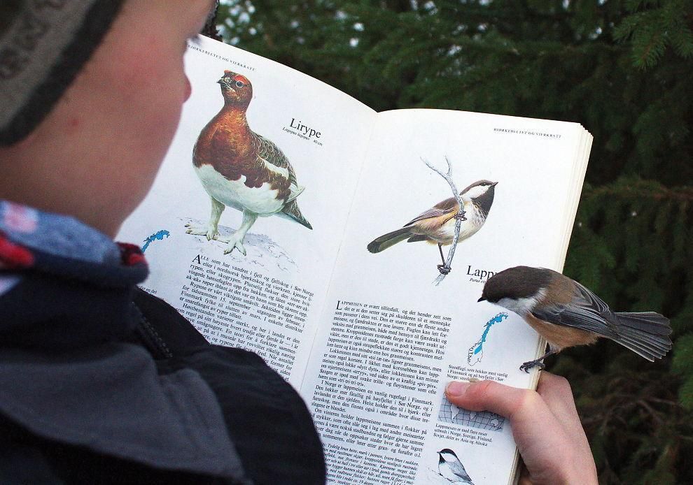 This bird wanted to learn about itself