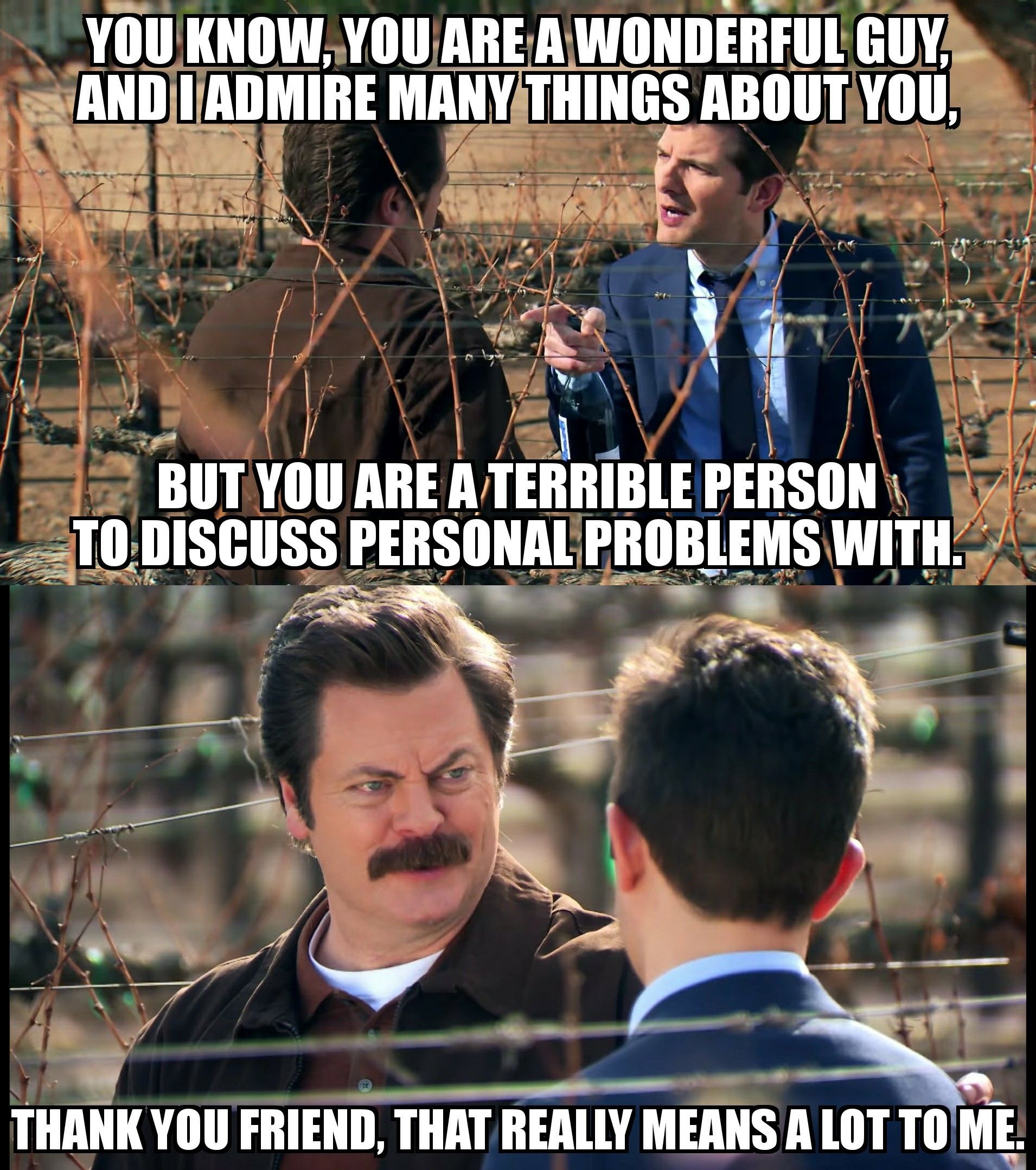 Ron Swanson. The person we all strive to be.