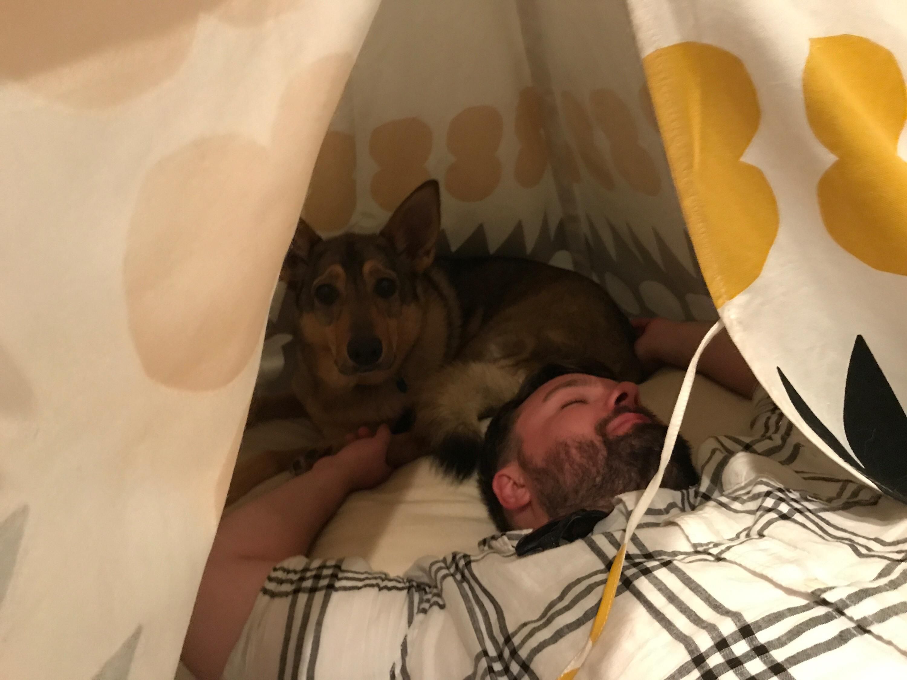 My dog wasn't happy when a drunk friend decided to sleep with her at 1 am.