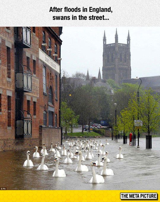 England flooding aftermath.