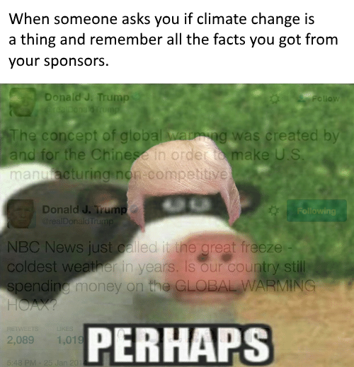 hoax.png