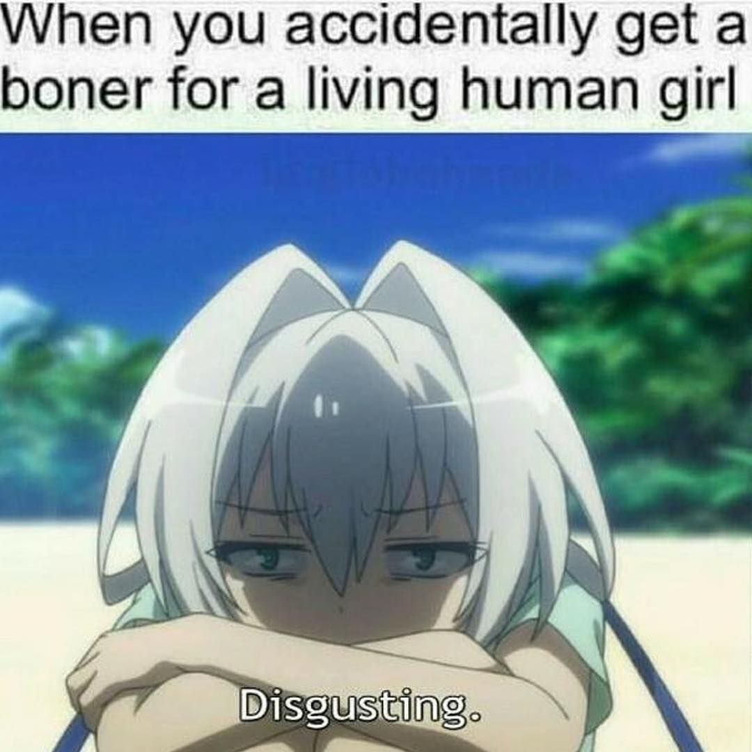 How I imagine most of you guys