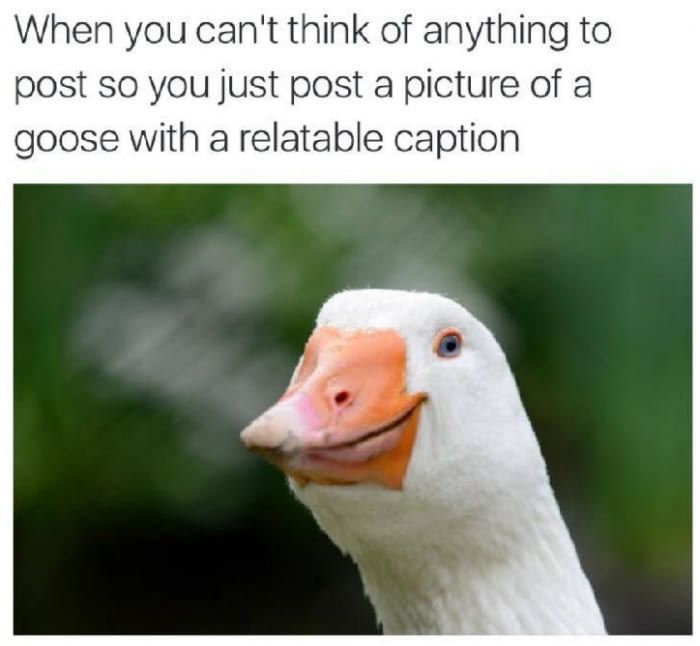 relateable