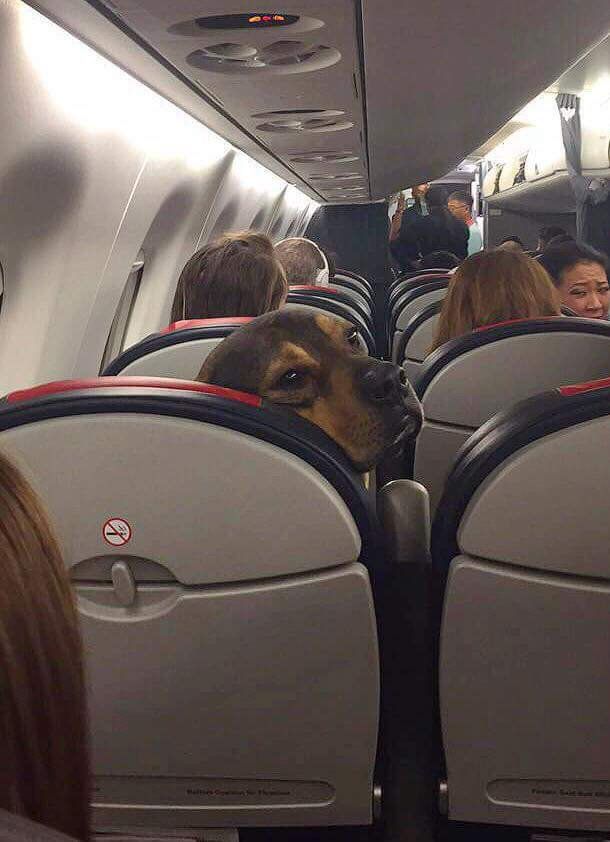 "Ma'am, tell your kids to stop kicking my seat....if they want to keep their toes....."