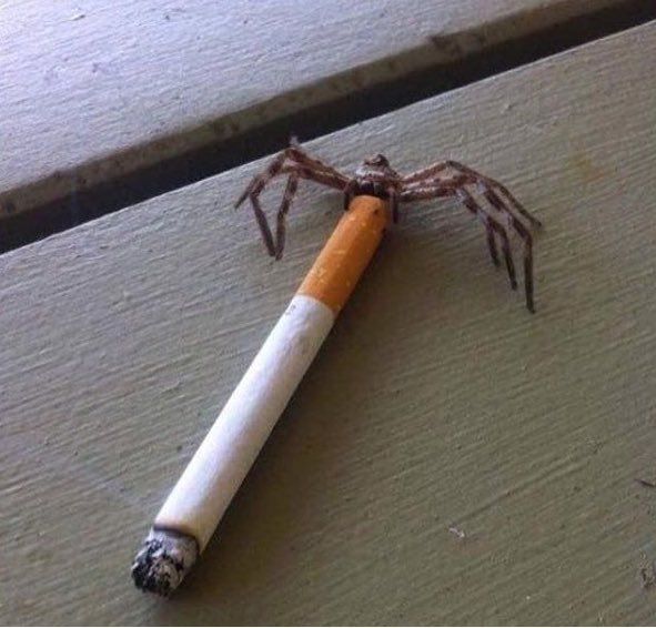 Peter Parker? Haven't heard that name in years.