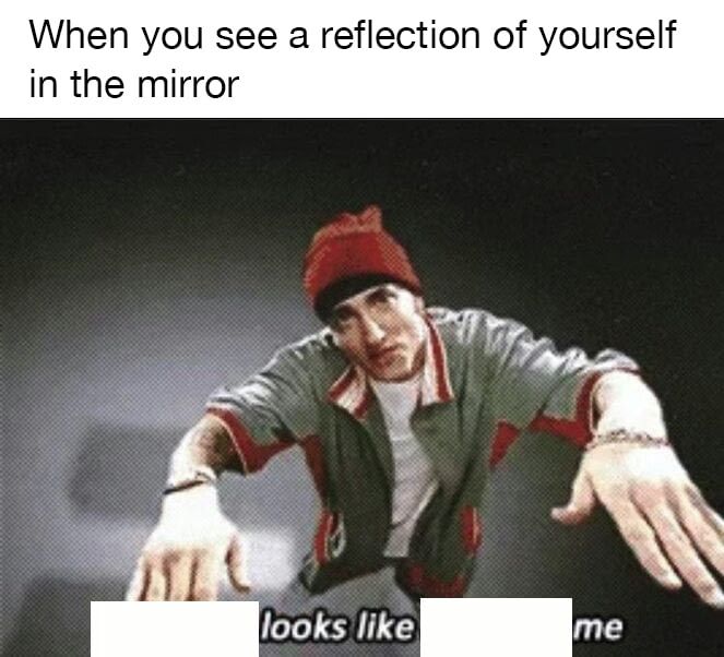 M E T A